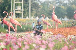 BIB: 
                            <button type="button" onclick="openModal(27344092)" class="btn btn-primary btn-sm float-right btn-popup" data-toggle="modal" data-target=".modal-high-quality">
                        <i class="fas fa-shopping-cart"></i> Add to Cart
                    </button>
                                            <button type="button" onclick="isThisMe(27344092, true)" class="btn btn-success btn-sm float-right btn-popup btn-isme hidden" data-toggle="tooltip" data-placement="bottom" title="นี่คือรูปของคุณใช่ไหม คลิกที่นี่เพื่อเอาเข้าอัลบั้ม">
                        <i class="fas fa-plus"></i> Add to album
                    </button>
                    <button type="button" onclick="isThisMe(27344092, false)" class="btn btn-warning btn-sm float-right btn-popup btn-isnotme hidden">
                        <i class="fas fa-ban"></i> Remove from album
                    </button>